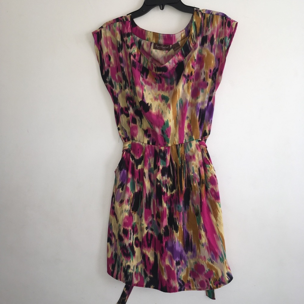 Colorful Sateen Dress